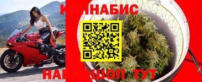 Альфа ПВП Беслан